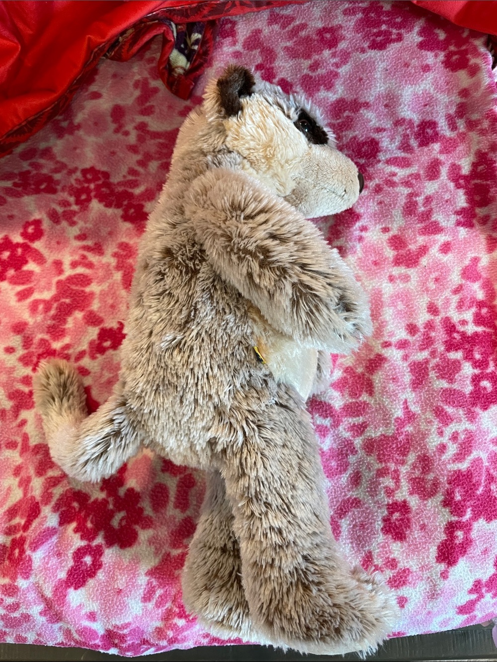 Build-A-Bear Meerkat - Picture 6 of 6